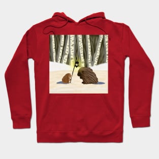 Hedgehog and Porcupine and the Lantern Hoodie